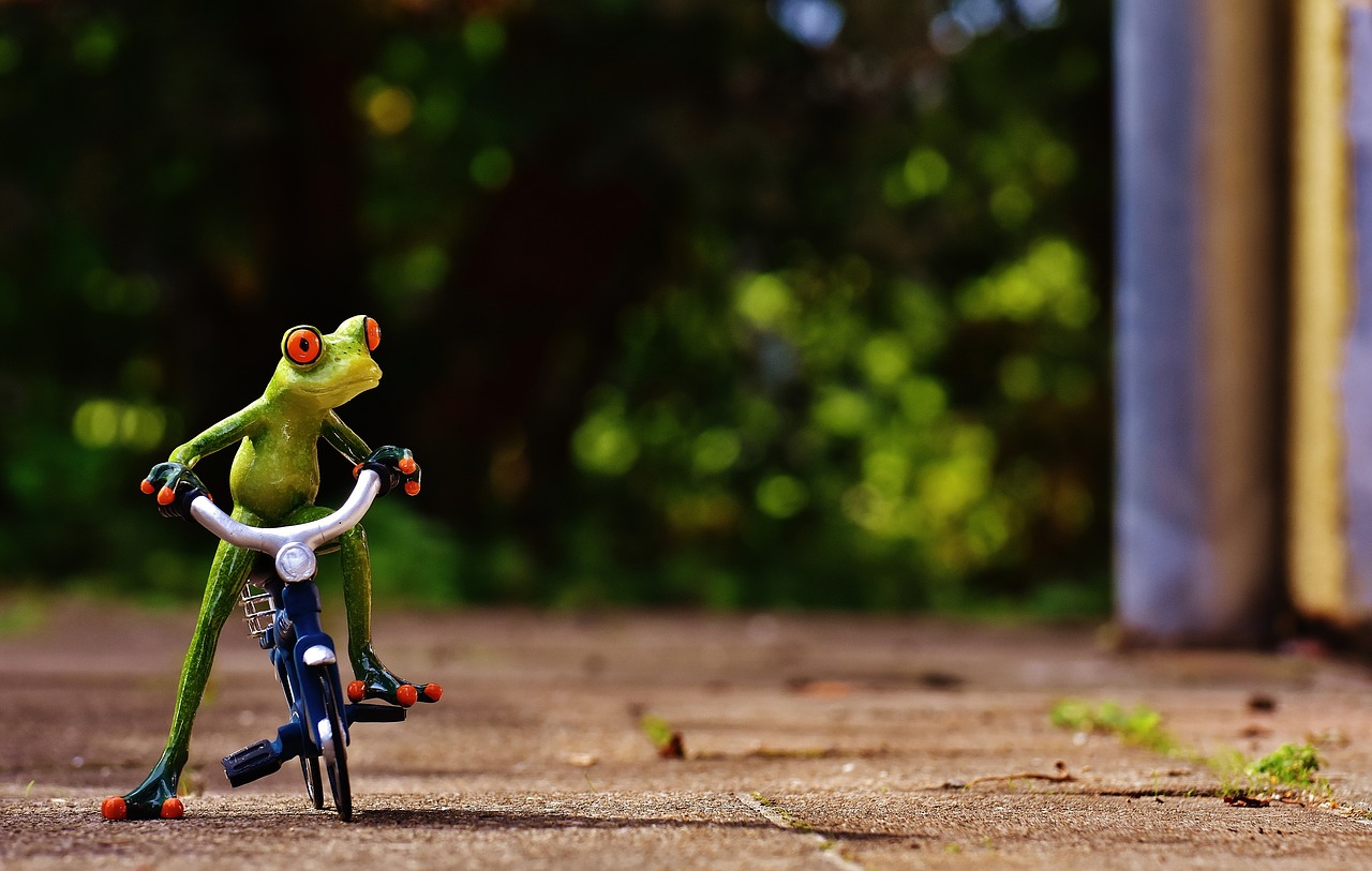 frog bike funny free photo