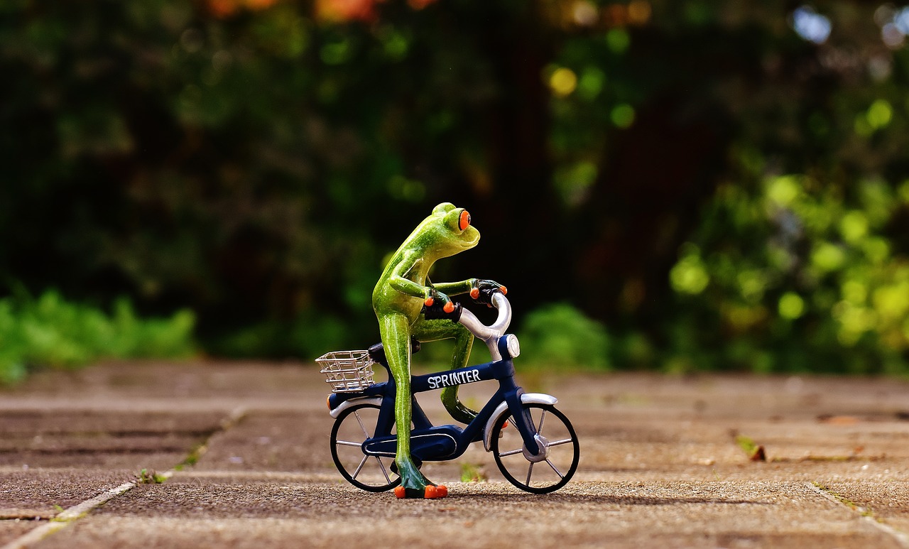 frog bike funny free photo