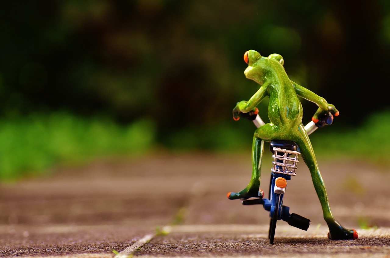 frog bike funny free photo