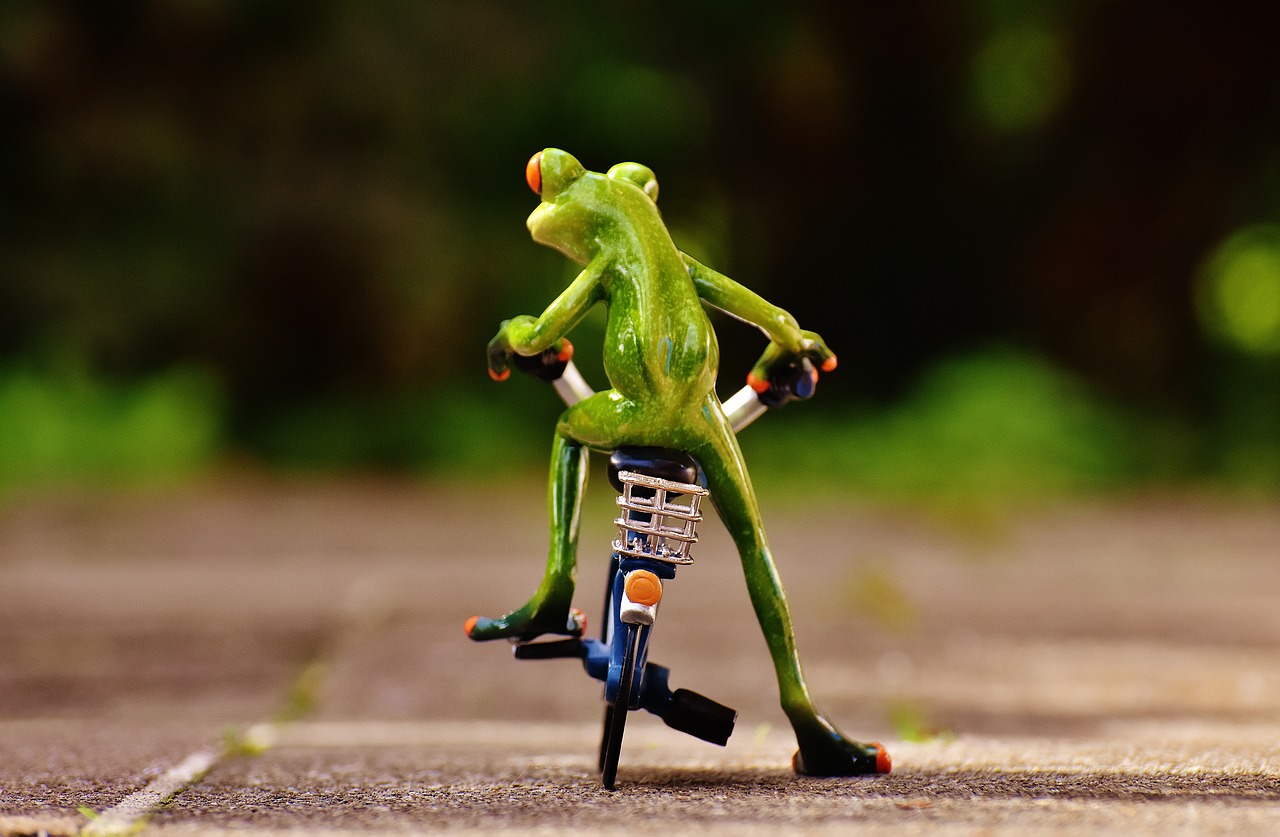 frog bike funny free photo