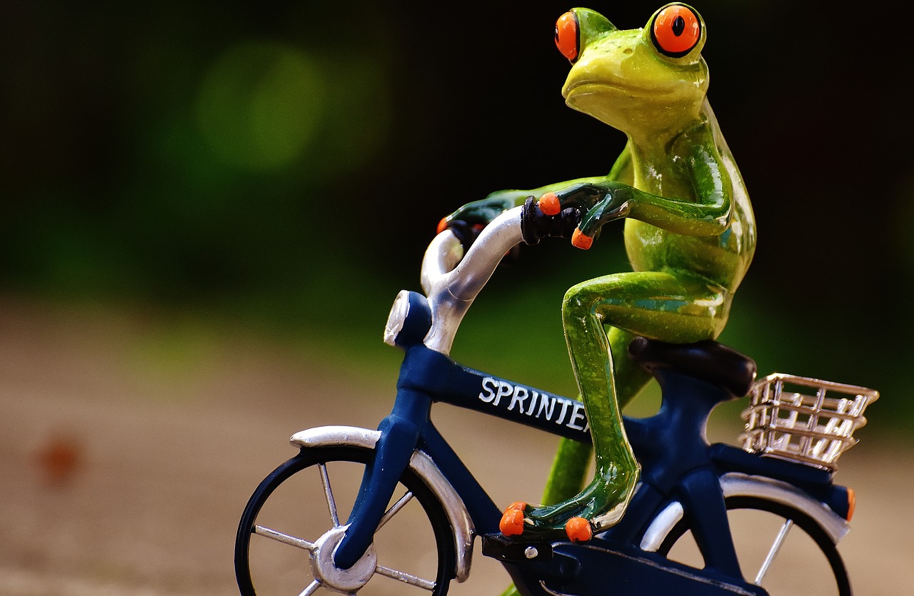 frog bike uphill free photo