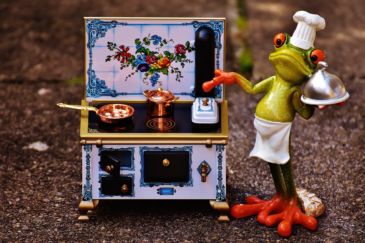 frog cooking stove free photo