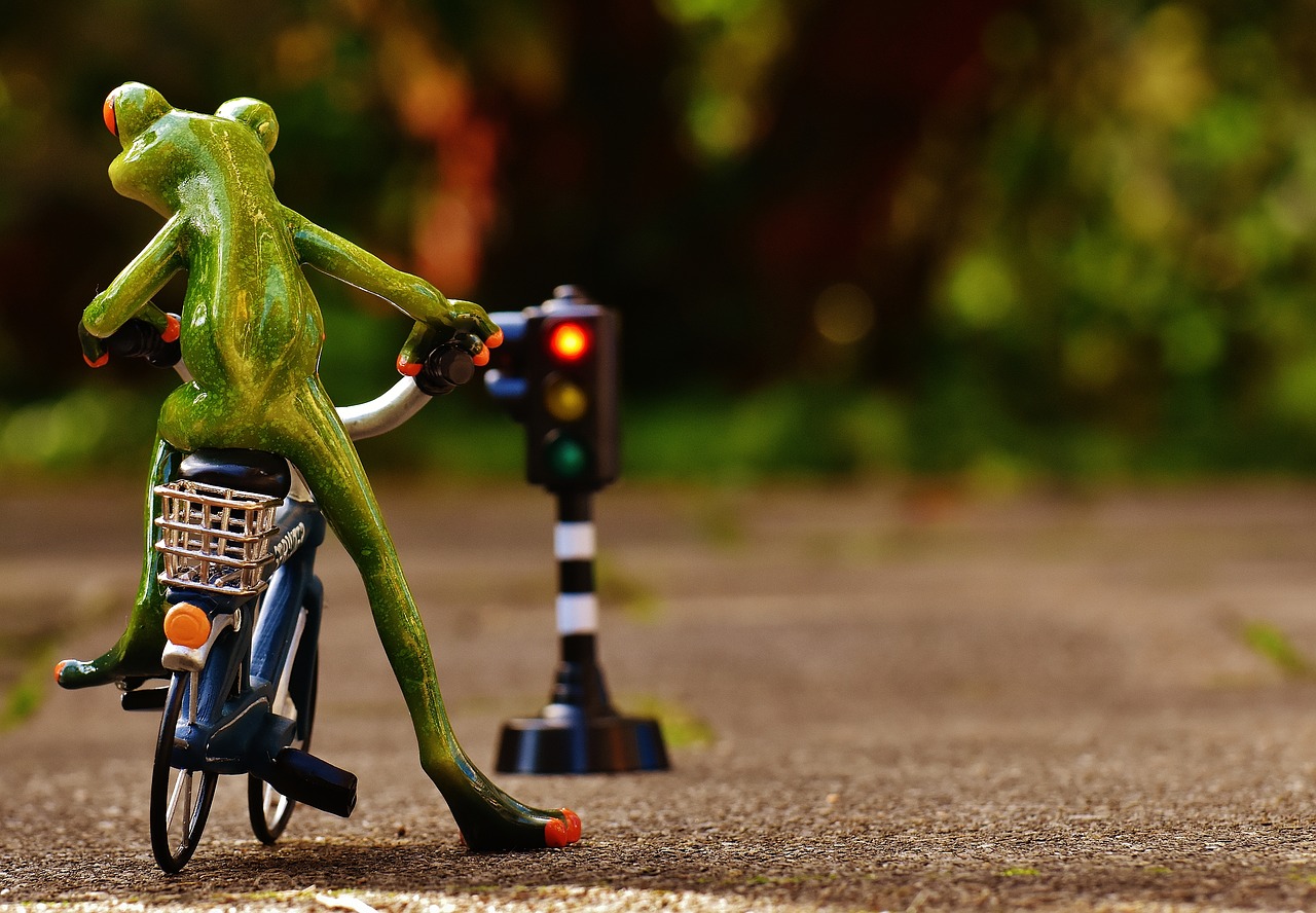 frog figure bike free photo