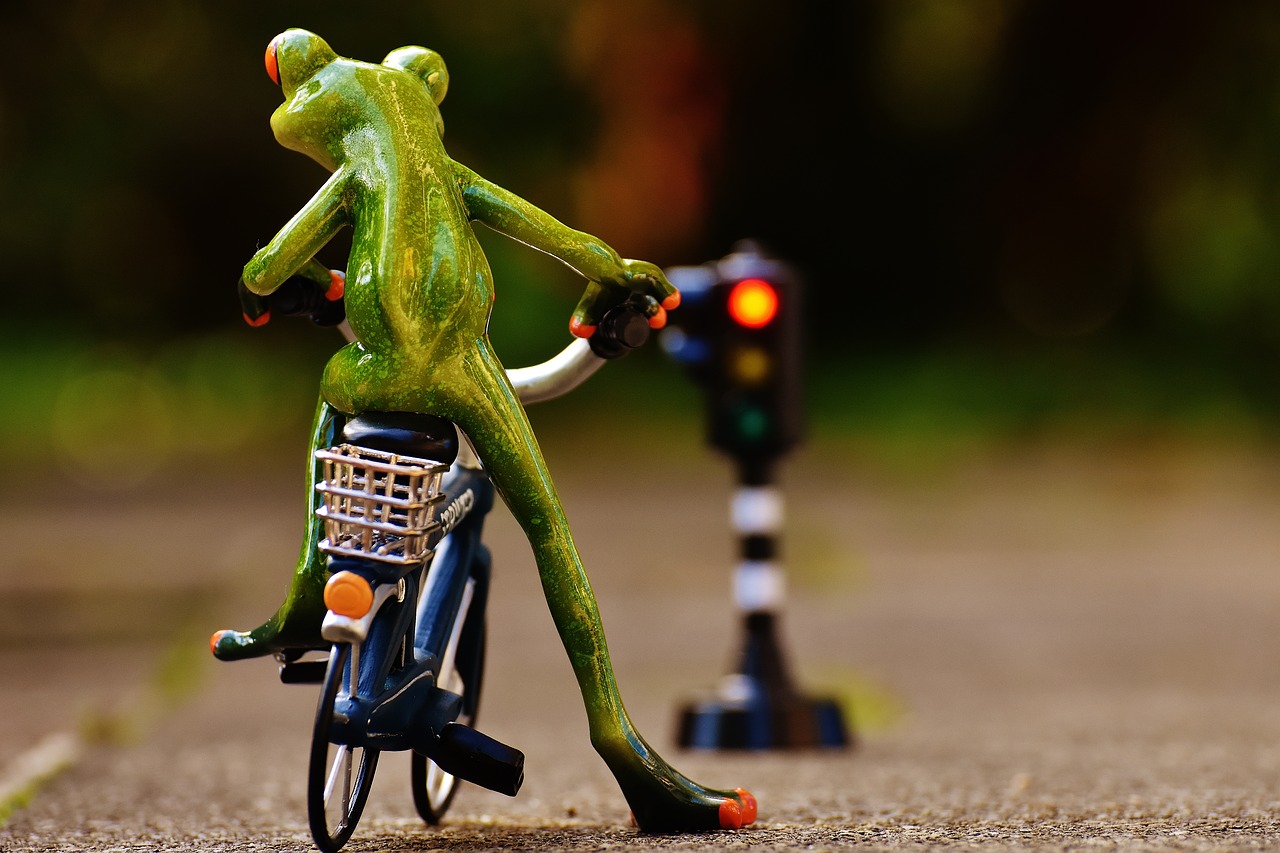 frog figure bike free photo