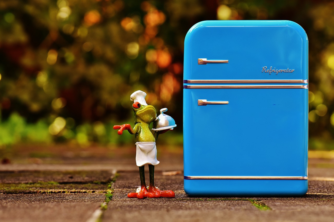 frog cooking refrigerator free photo