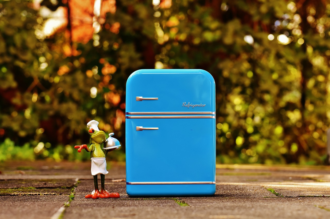 frog cooking refrigerator free photo