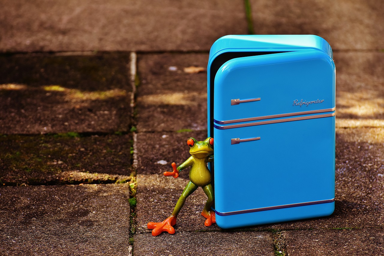 frog refrigerator blue free photo