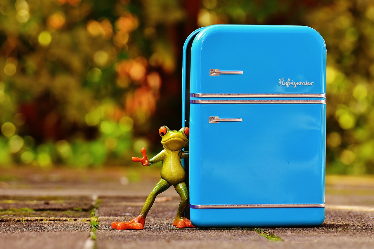 frog refrigerator blue free photo