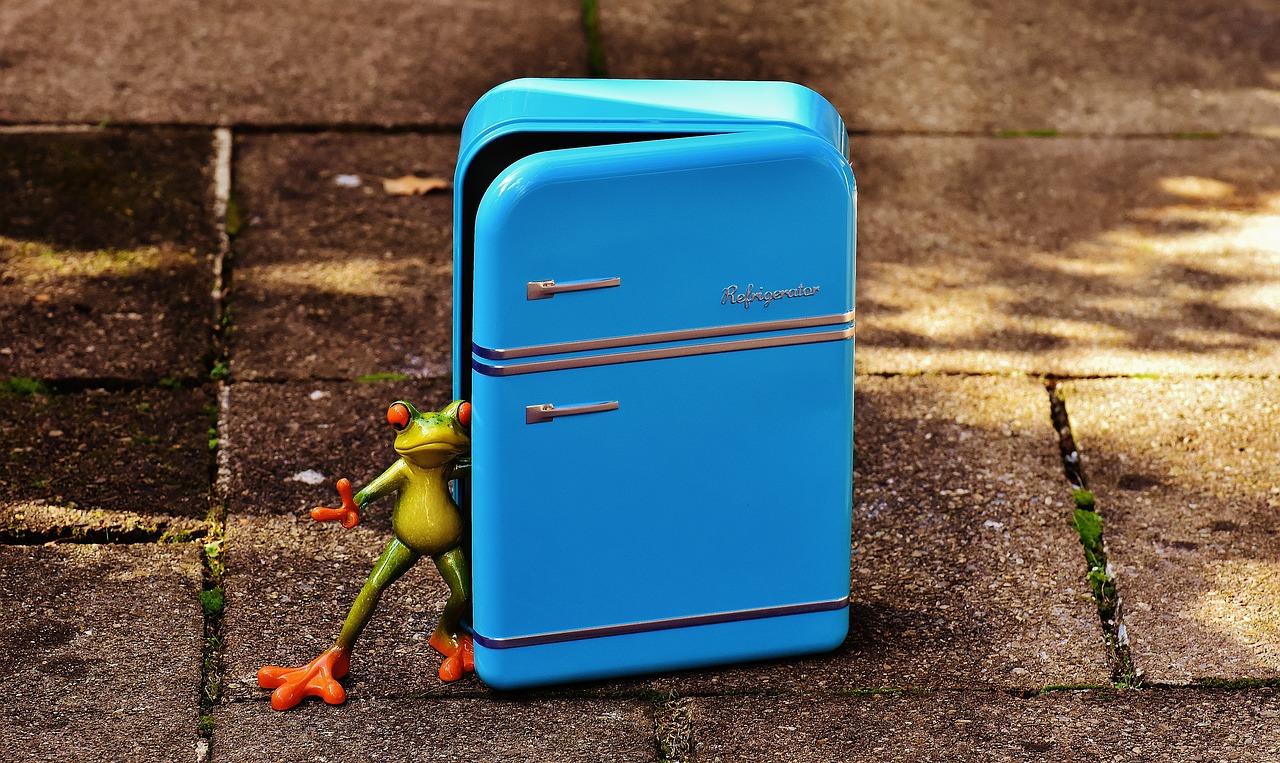 frog refrigerator blue free photo