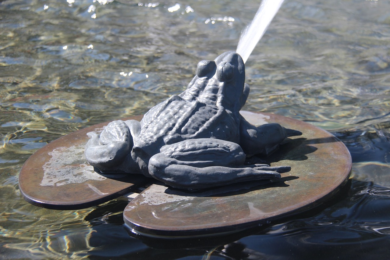 frog water fountain animal free photo