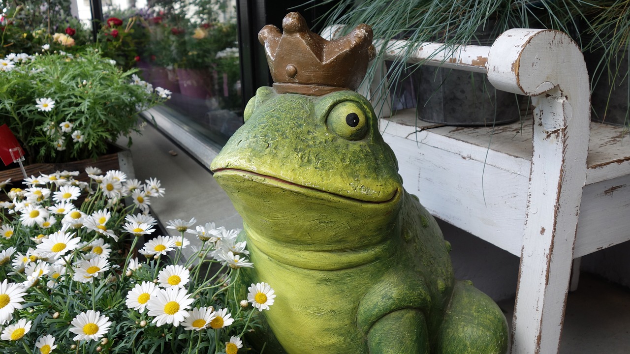 frog king prince free photo