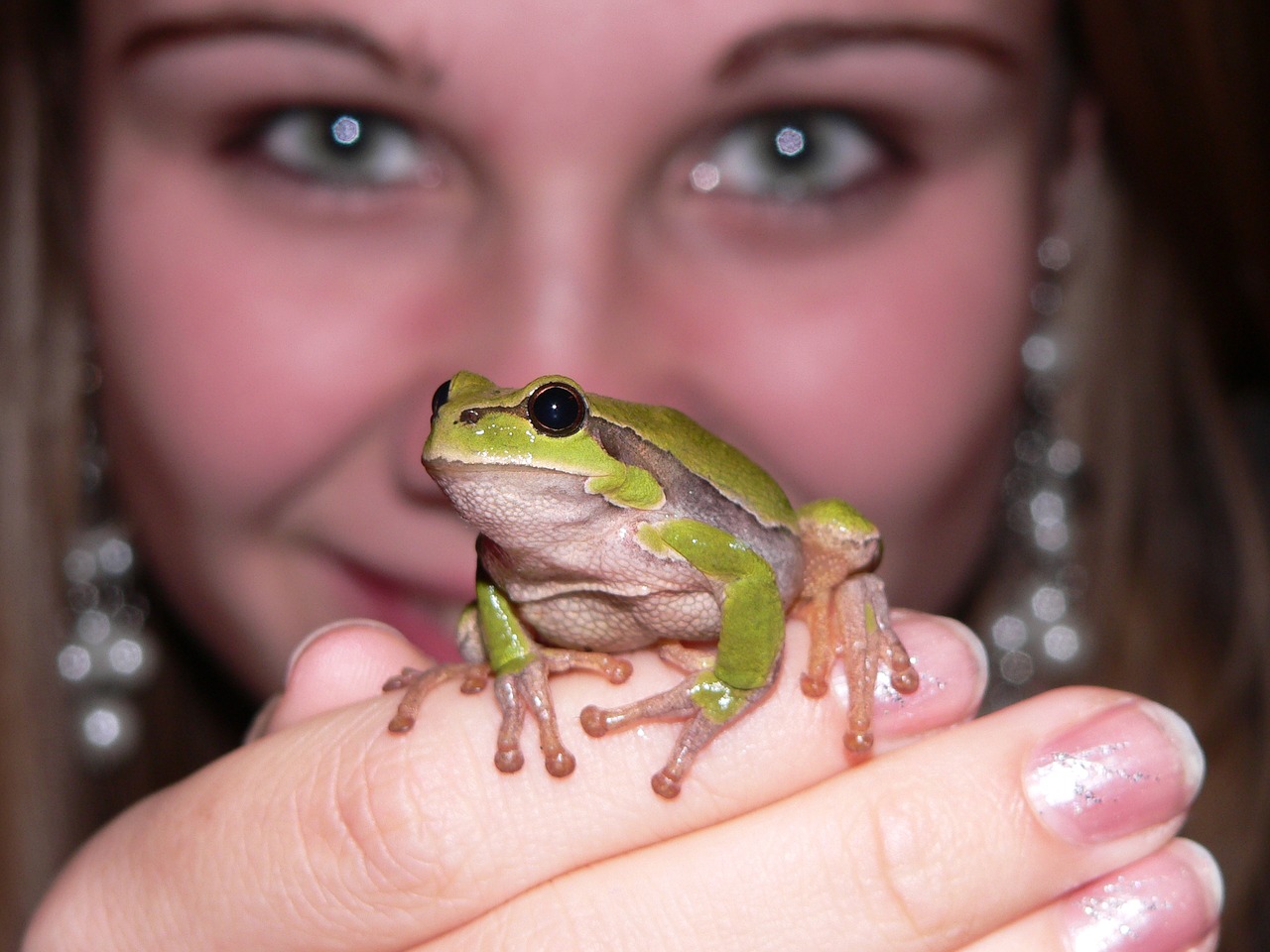 frog green girl free photo