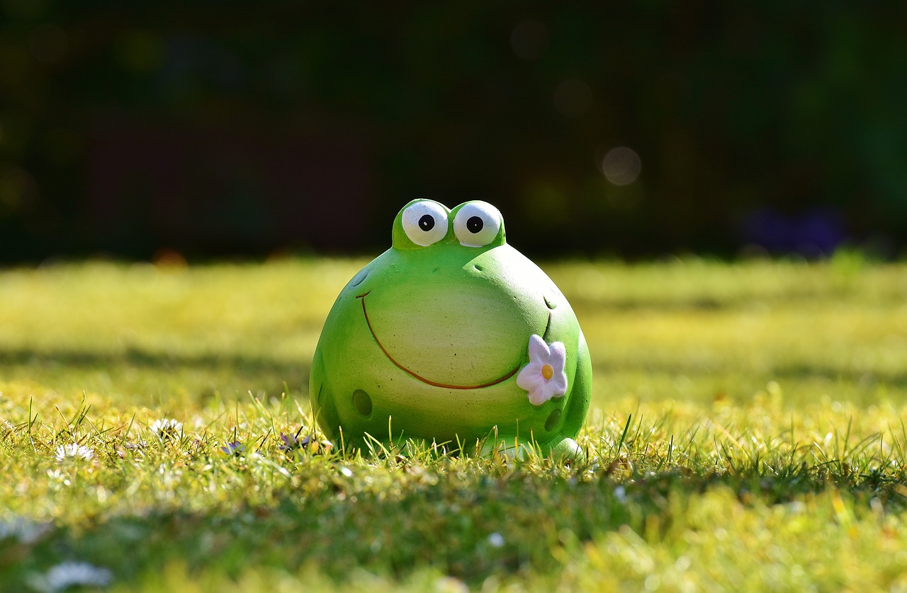 frog figure meadow free photo