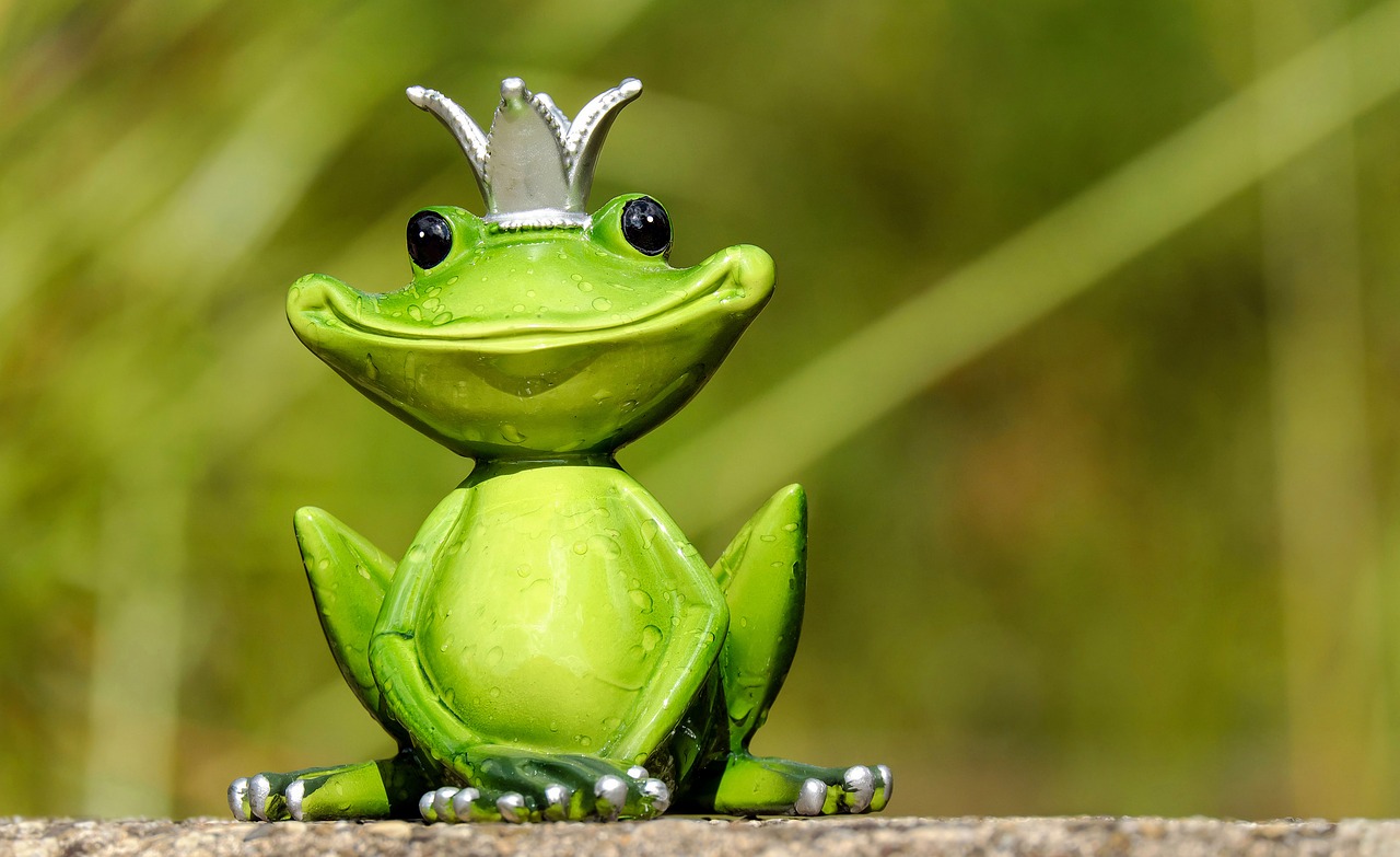 frog figure king free photo