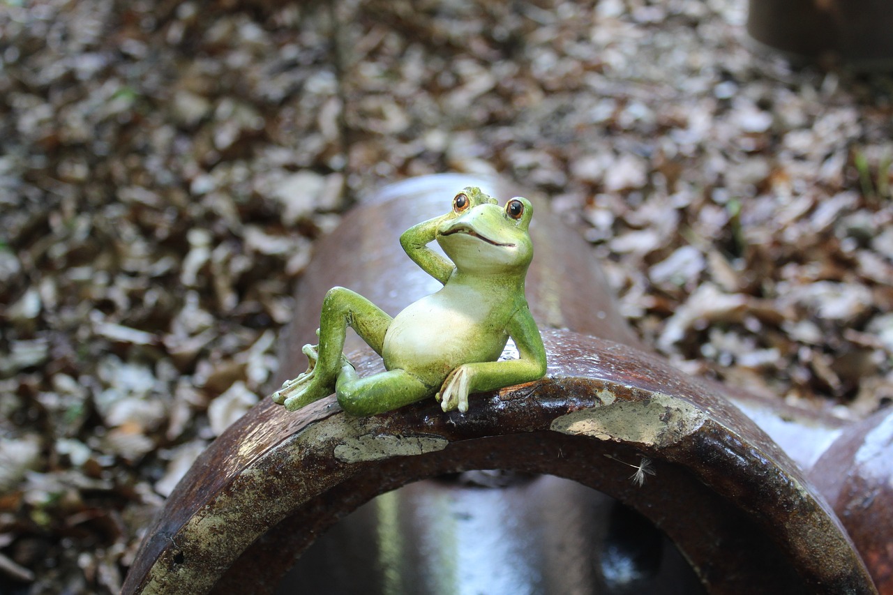 frog green figure free photo