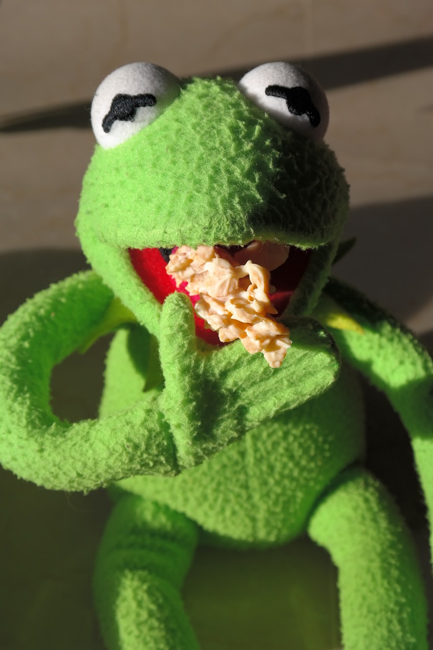frog kermit cookie free photo