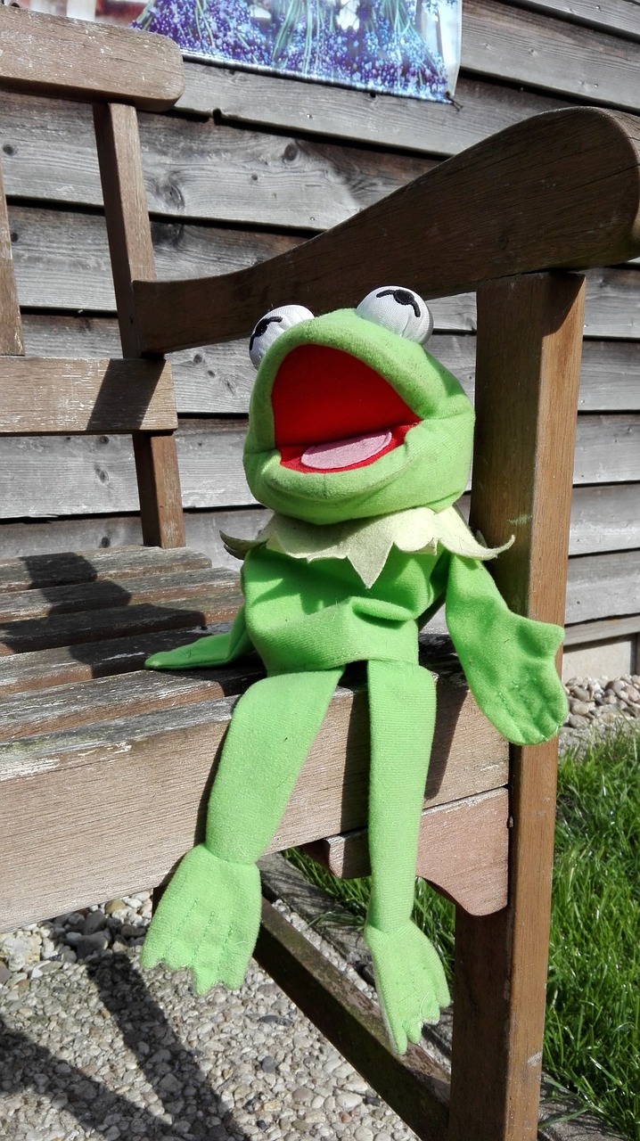 frog singing pop free photo