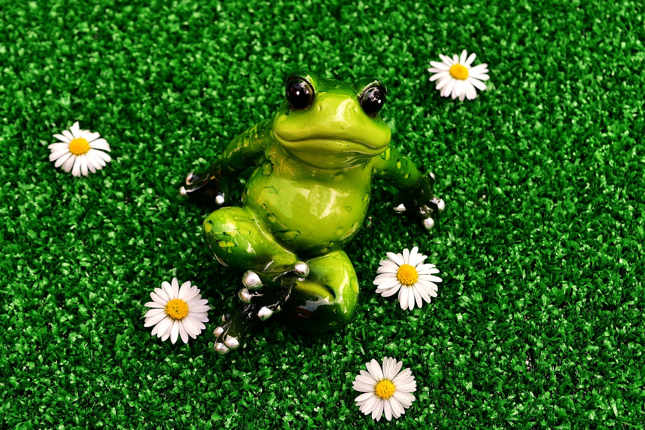frog funny cute free photo