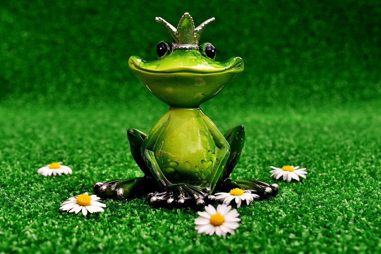 frog figure frog prince free photo