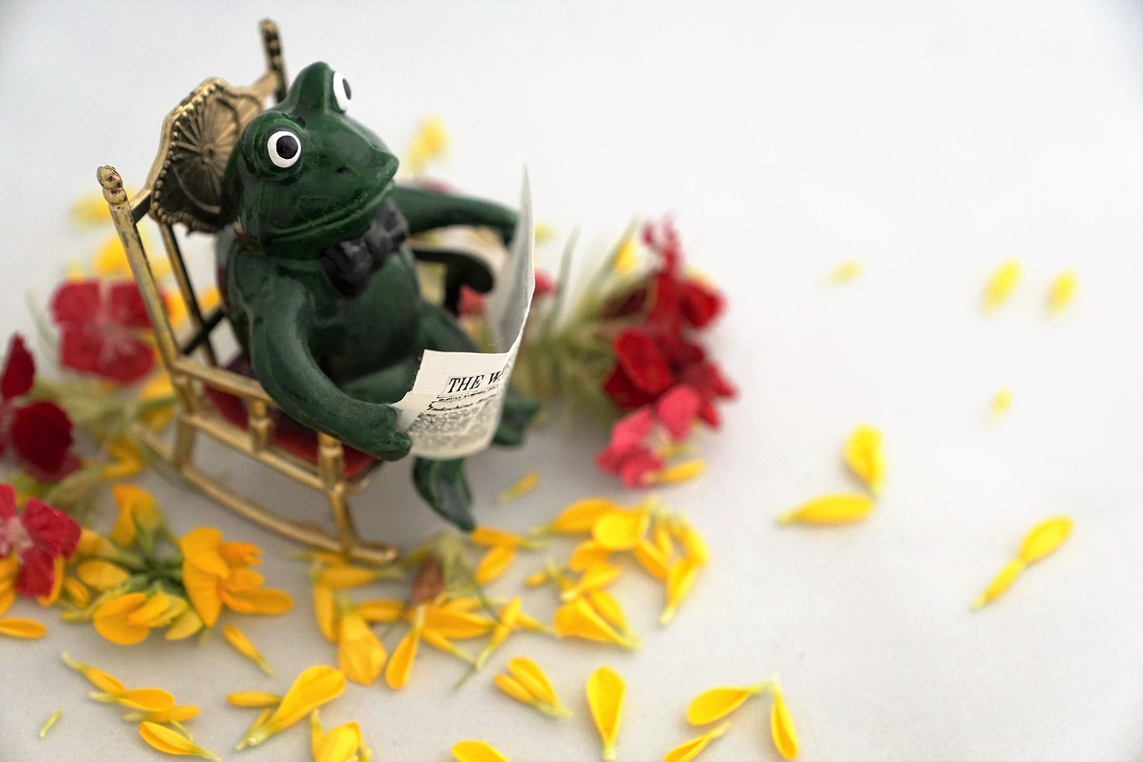 frog read newspaper free photo