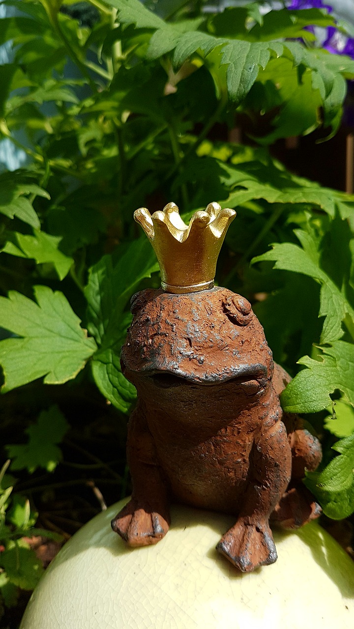 frog frog prince golden crown free photo