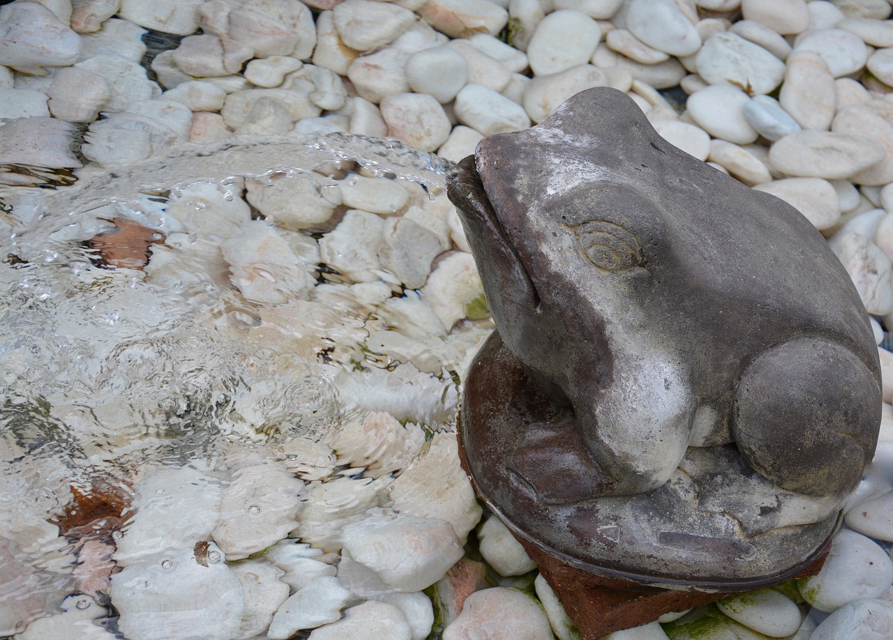 frog fountain water free photo