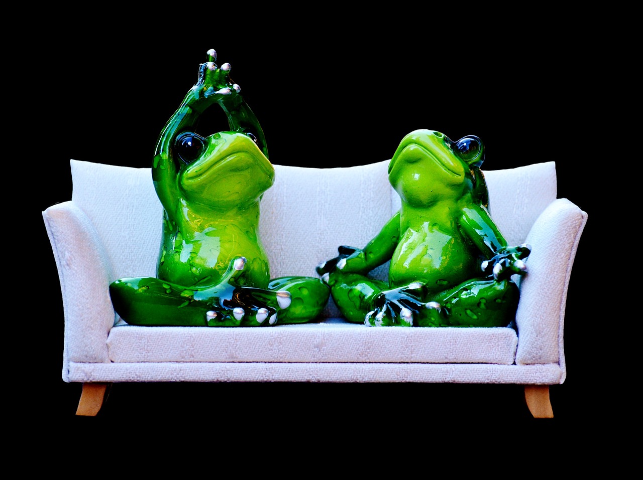 frog sofa relaxation free photo