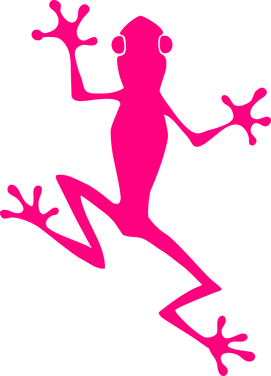 frog climb pink free photo