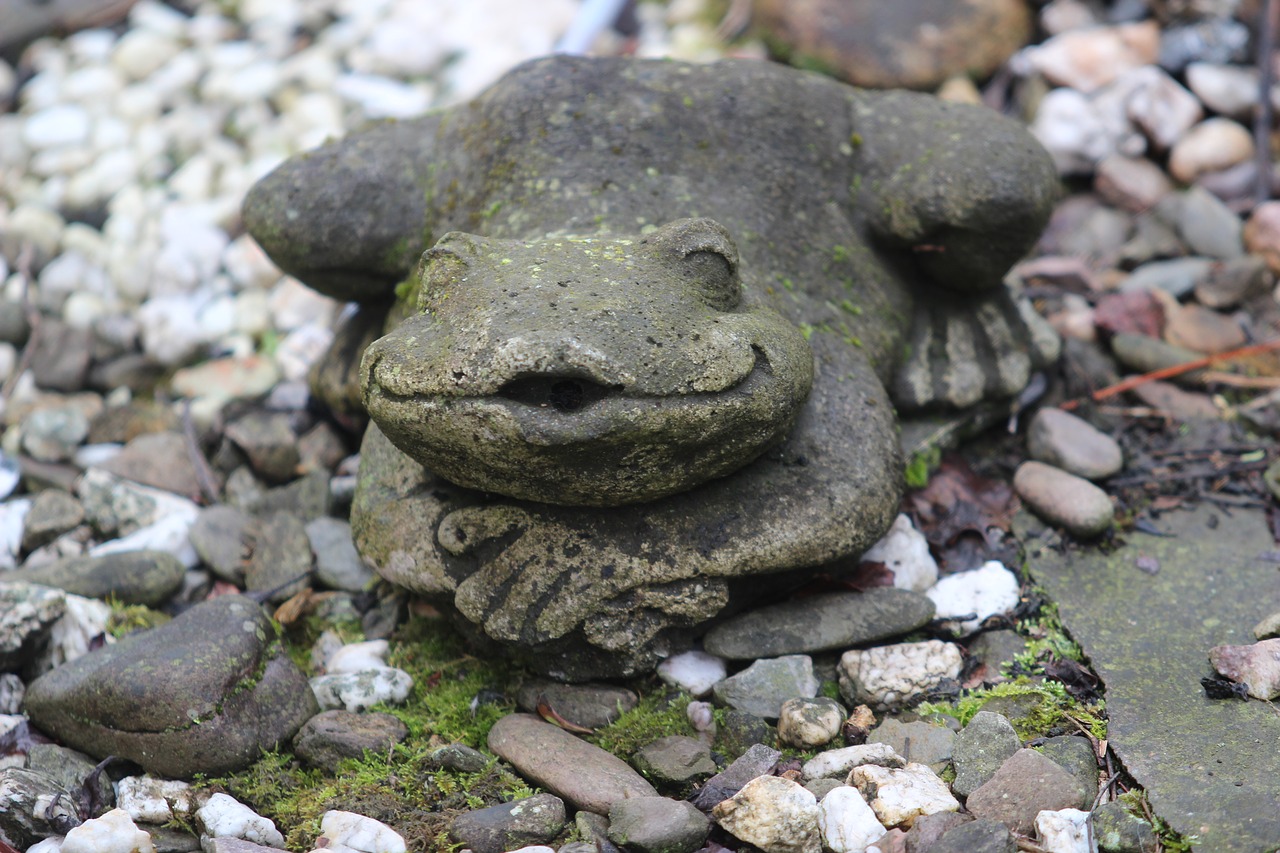 frog deco gartendeko free photo