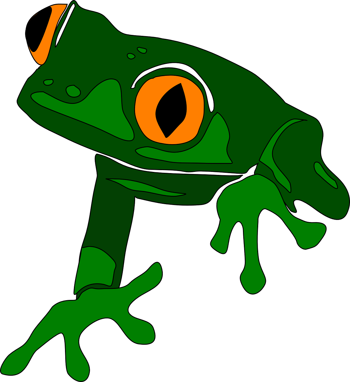 frog animal cute free photo