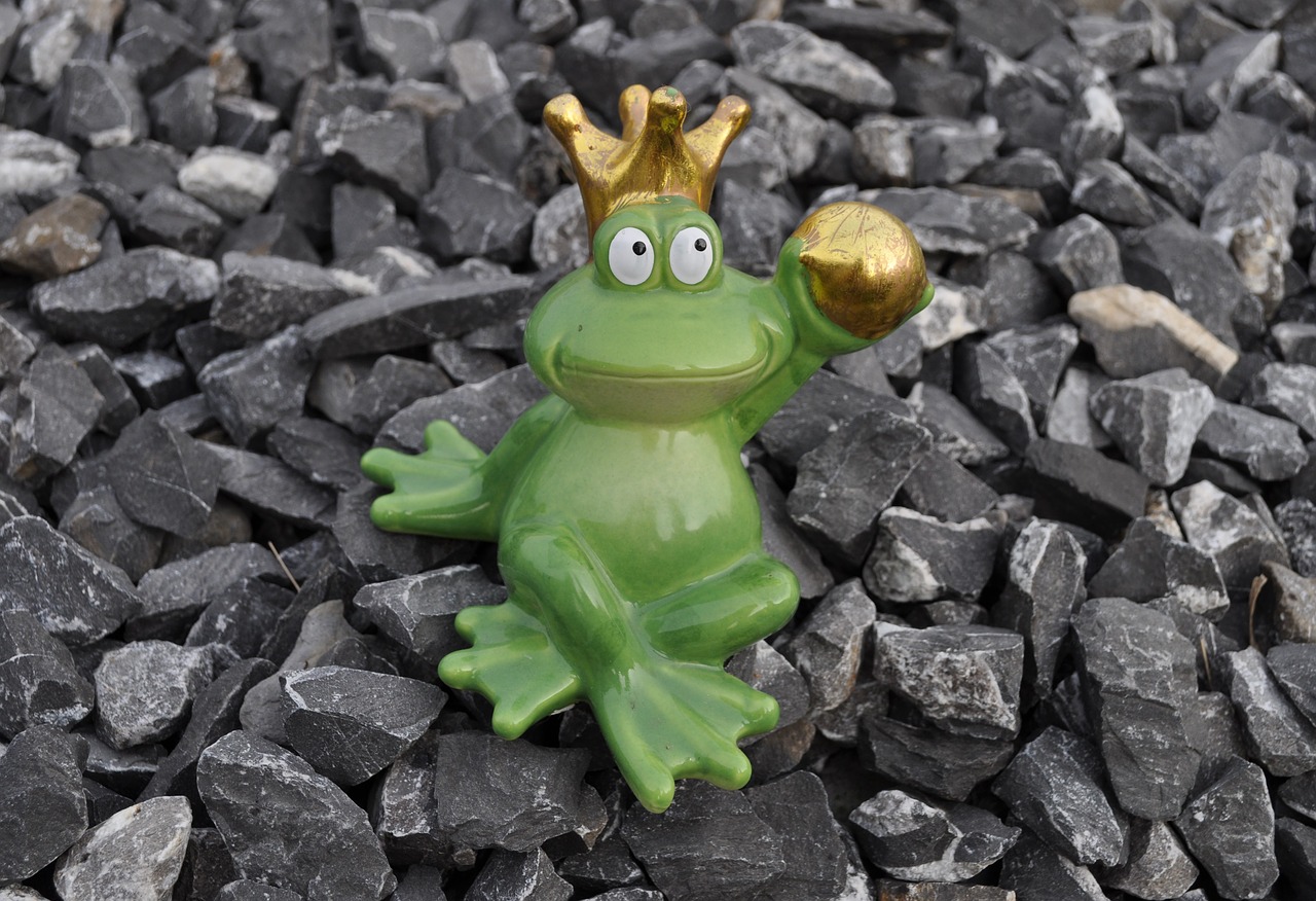 frog  frog prince  crown free photo