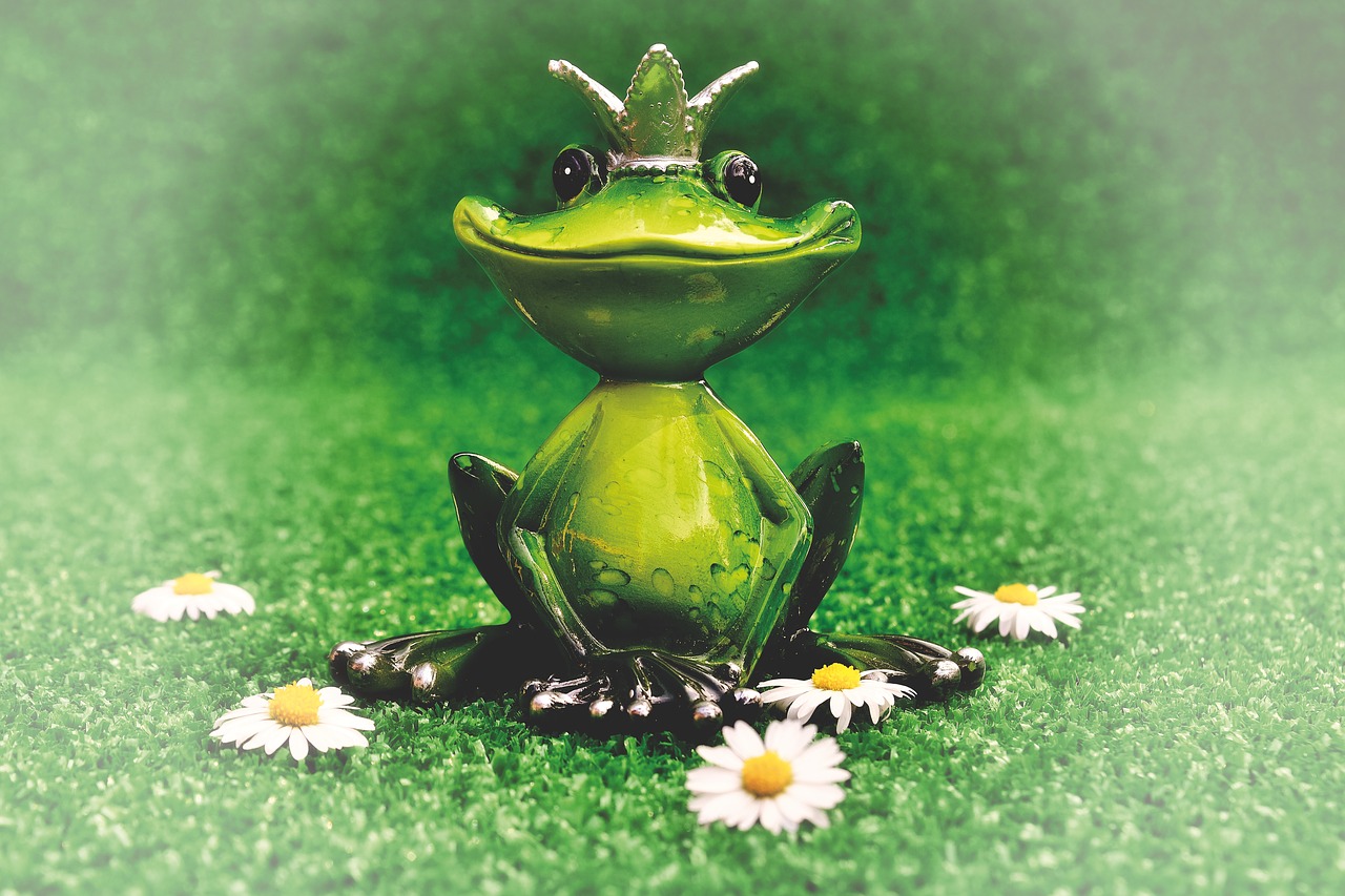 frog  frog prince  crown free photo