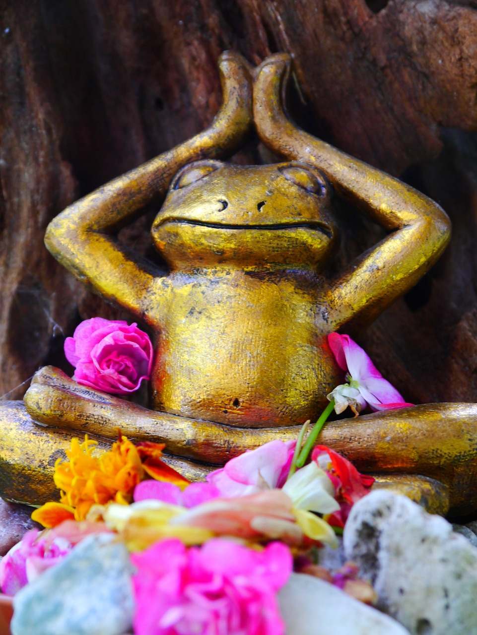 frog yoga flowers free photo