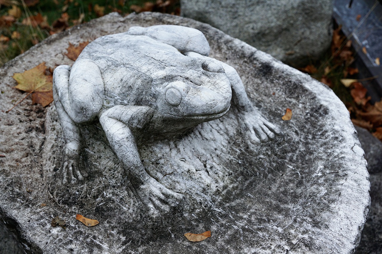 frog  stone  sculpture free photo