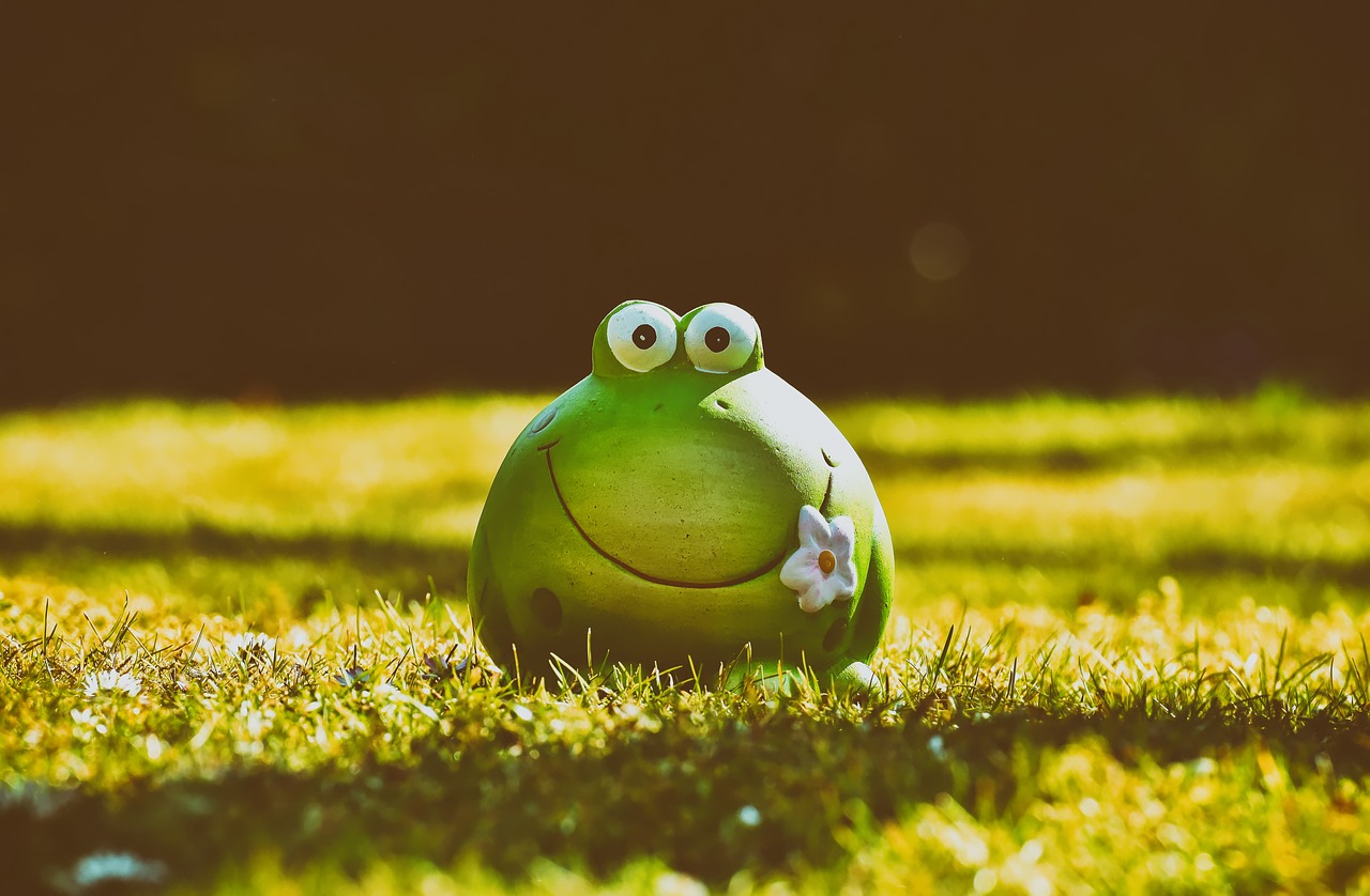 frog  figure  meadow free photo