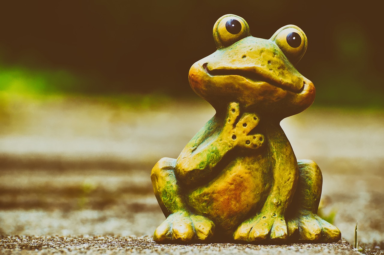 frog  figure  funny free photo