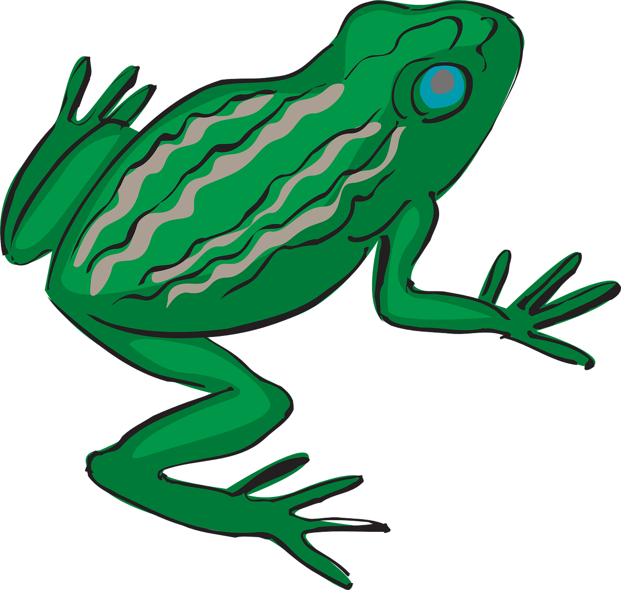 frog amphibian tropical free photo