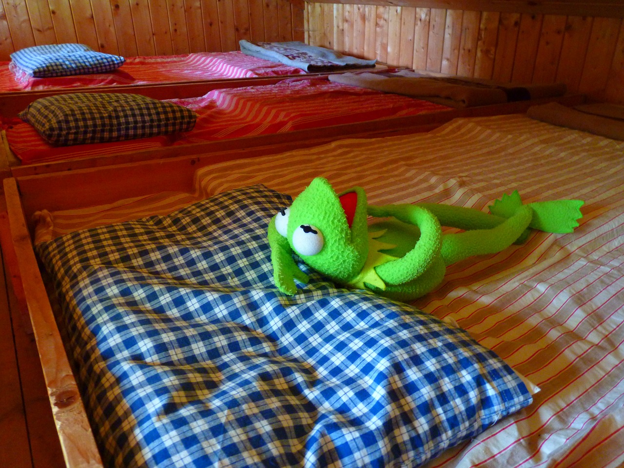 frog kermit tired free photo