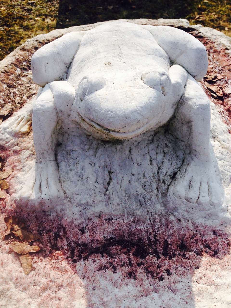 frog stone sculpture free photo