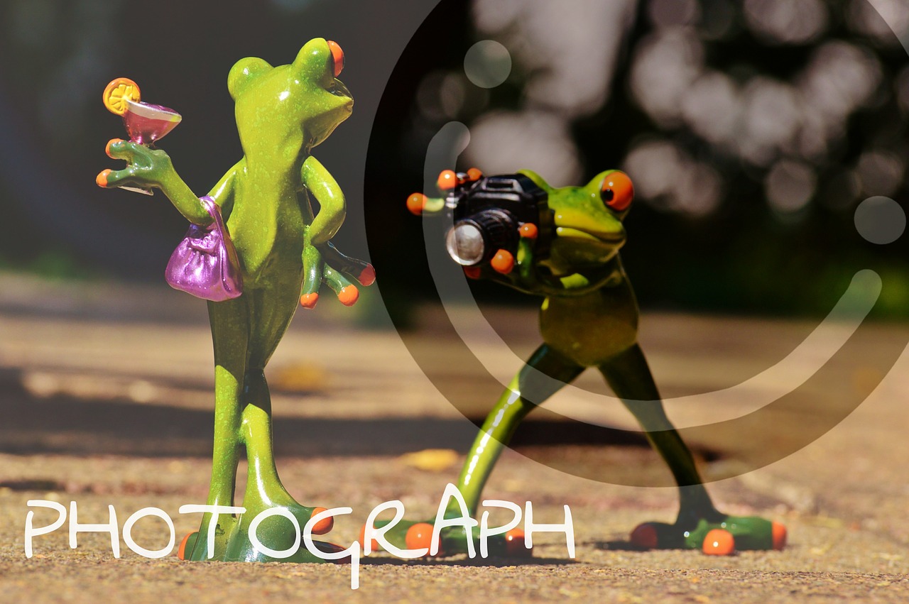 frog photographer model free photo