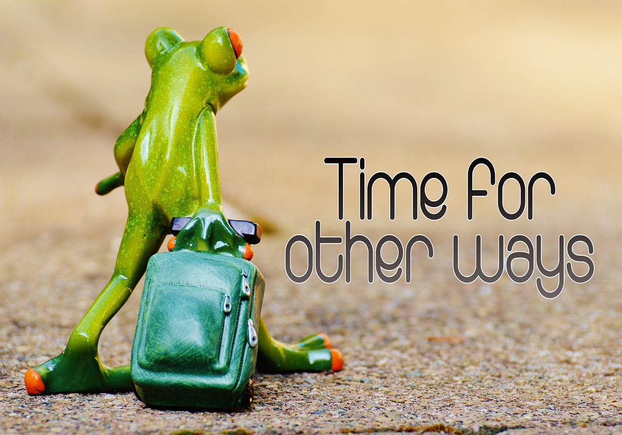 frog time for other ways farewell free photo