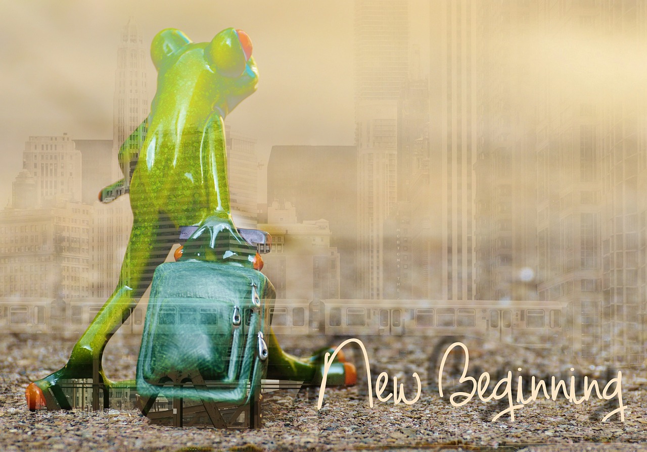 frog new beginning move free photo