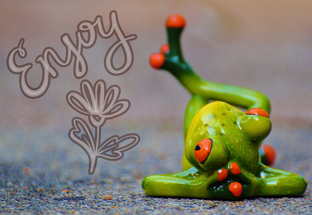 frog relaxed figure free photo