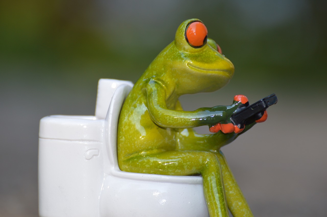 frog mobile phone toilet free photo
