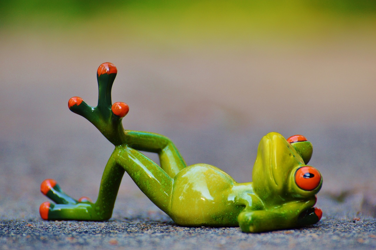 frog relaxed figure free photo