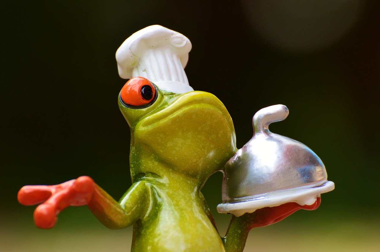 frog cooking eat free photo