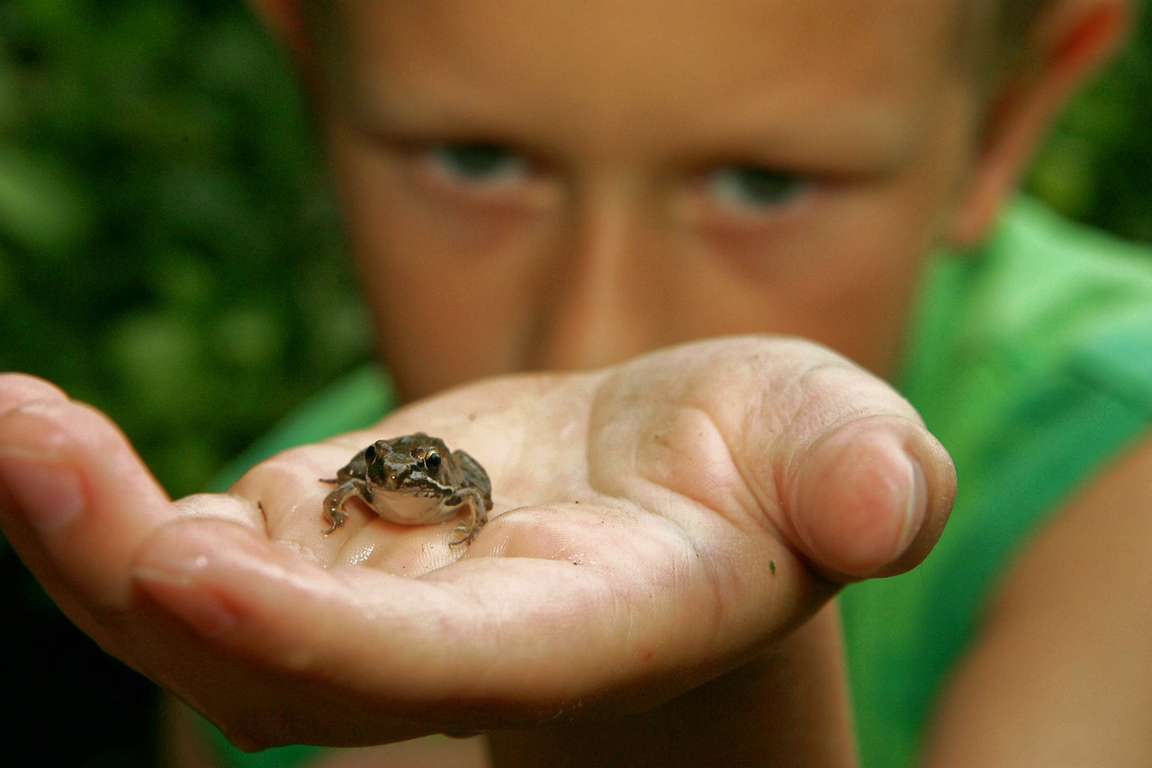 frog boy child free photo