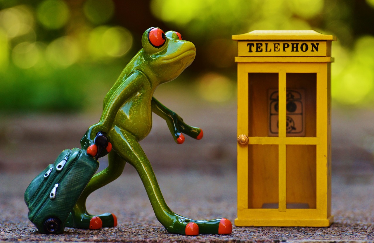 frog phone booth travel free photo