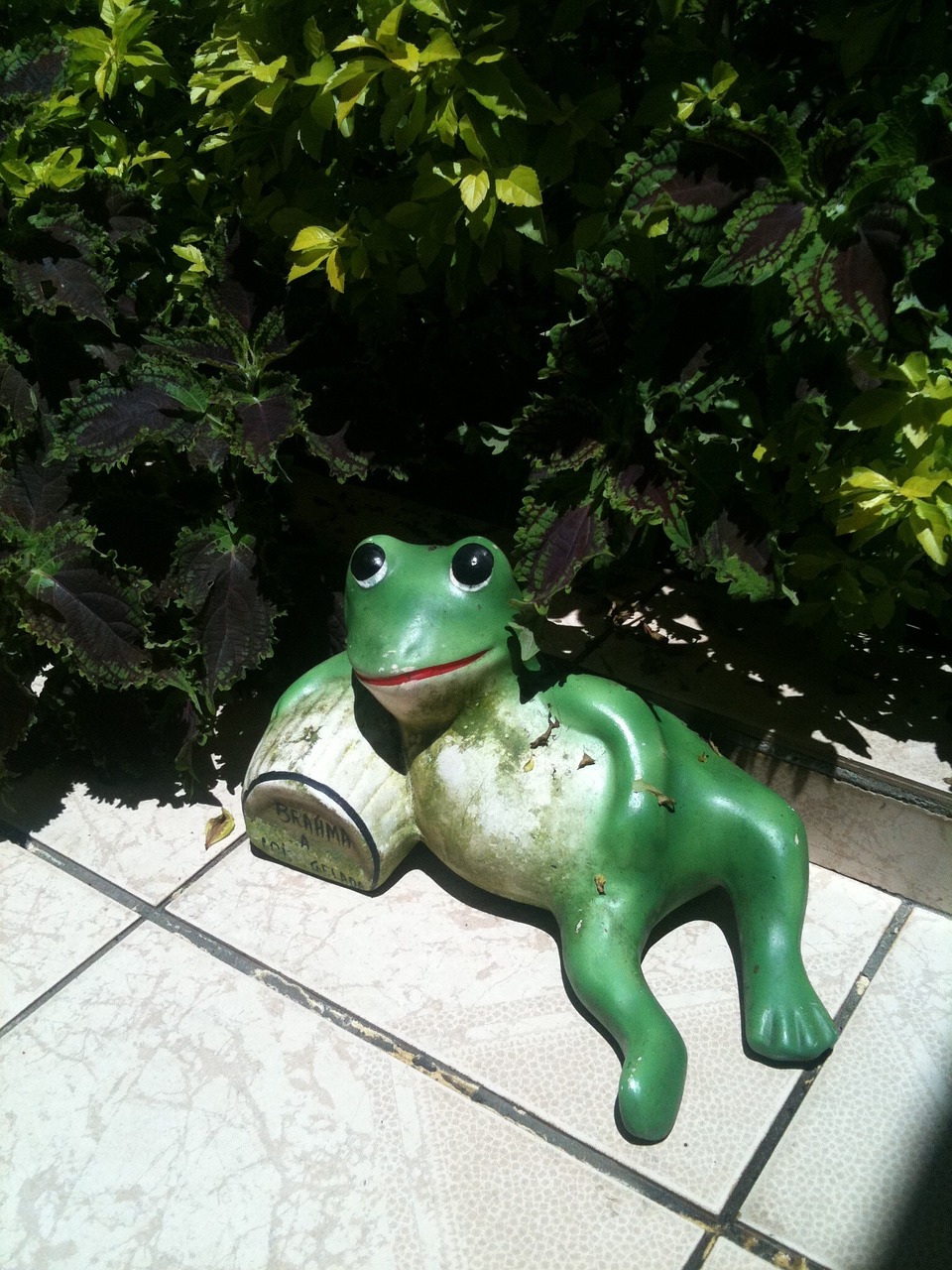 frog sculpture garden free photo