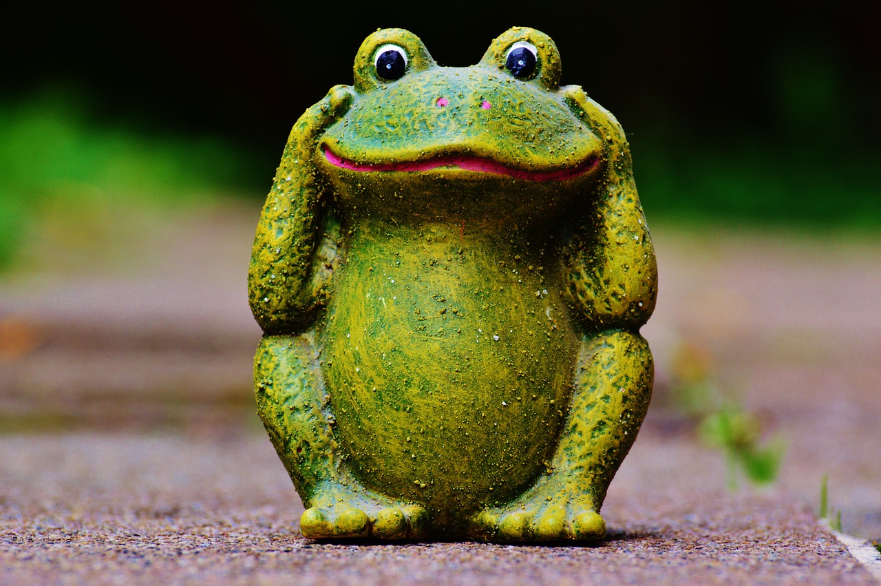 frog figure funny free photo